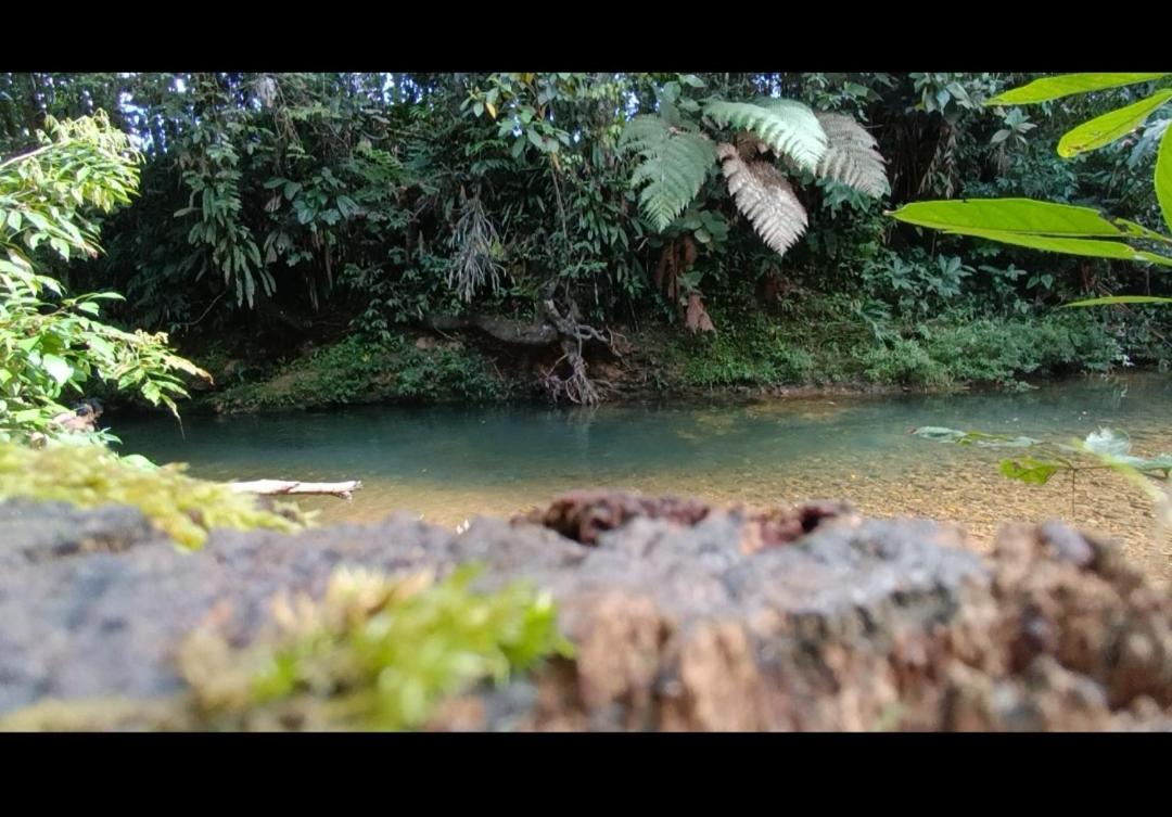 El Jardín Secreto De Alvita