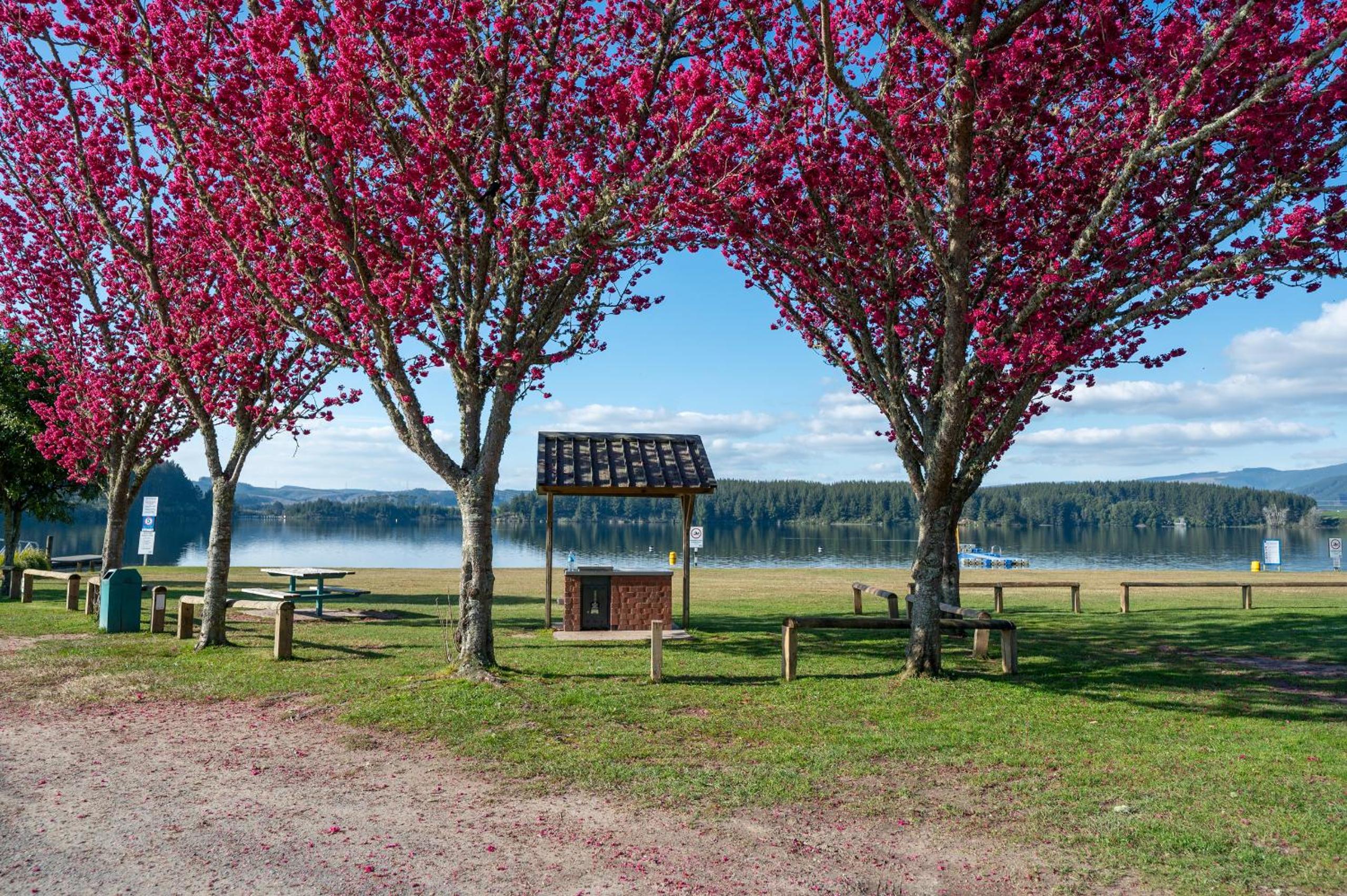 Lakeside Treasure - Mangakino Holiday Home view 2