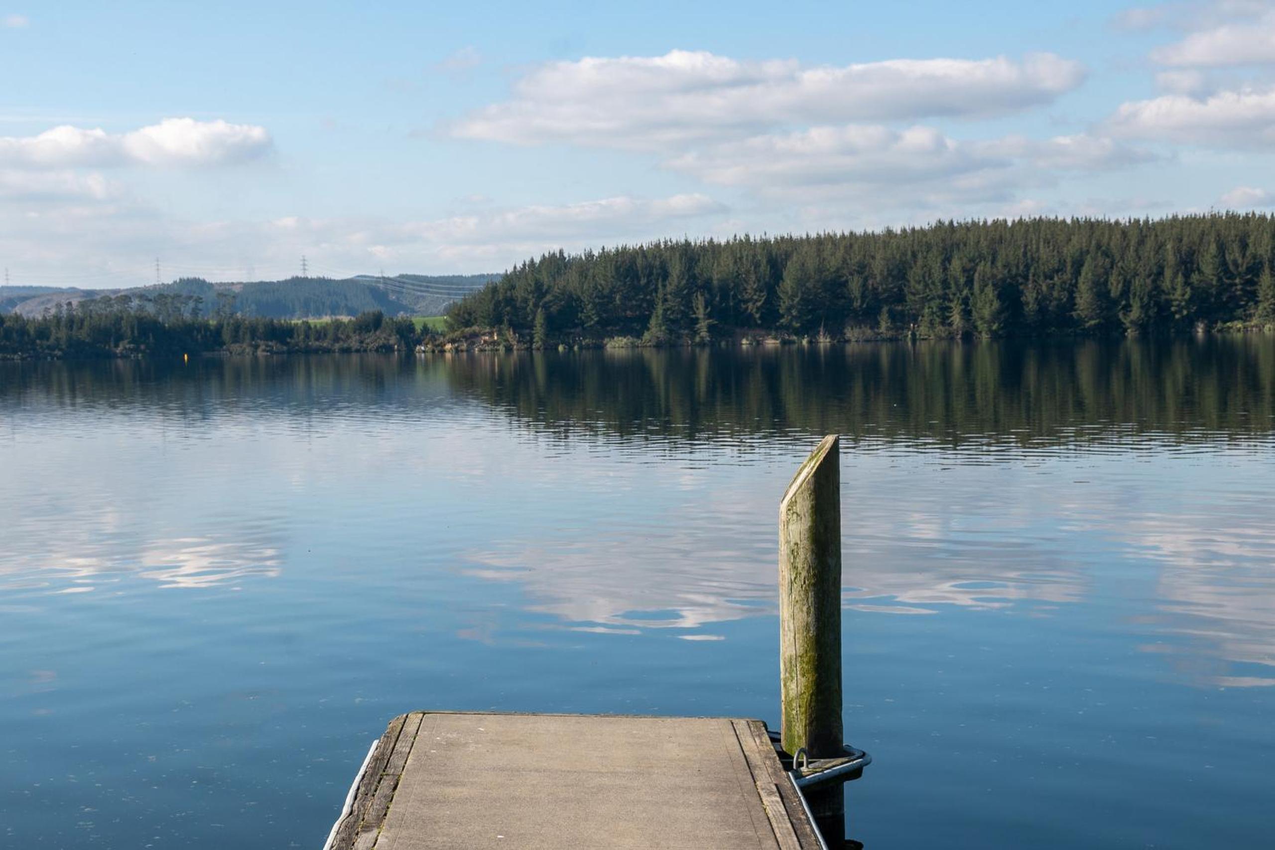 Lakeside Treasure - Mangakino Holiday Home view 3