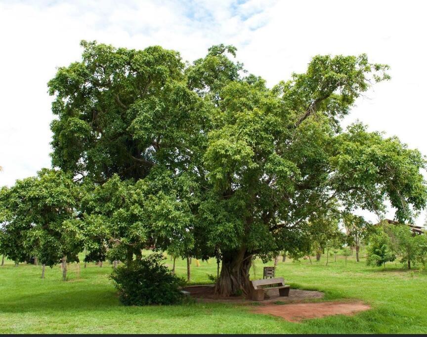 Rancho condomínio Terras d barra