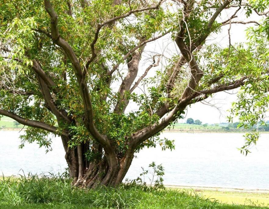 Rancho condomínio Terras d barra