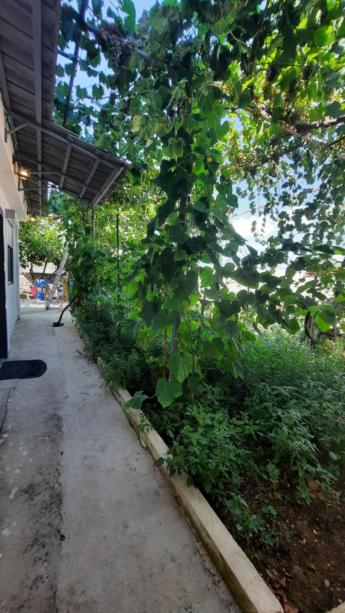 G&D Apartment