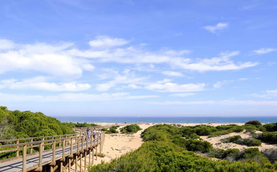 Sonido del Mar