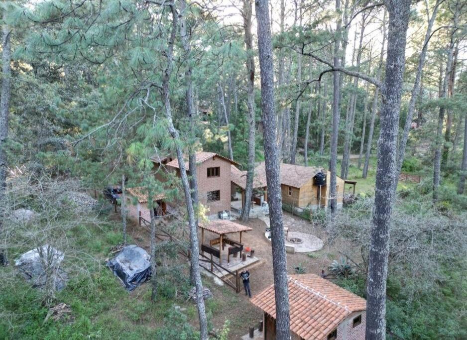 Cabaña Sasquatch
