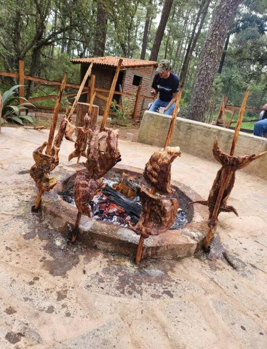 Cabaña Sasquatch