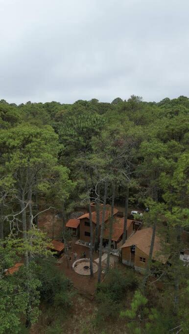 Cabaña Sasquatch