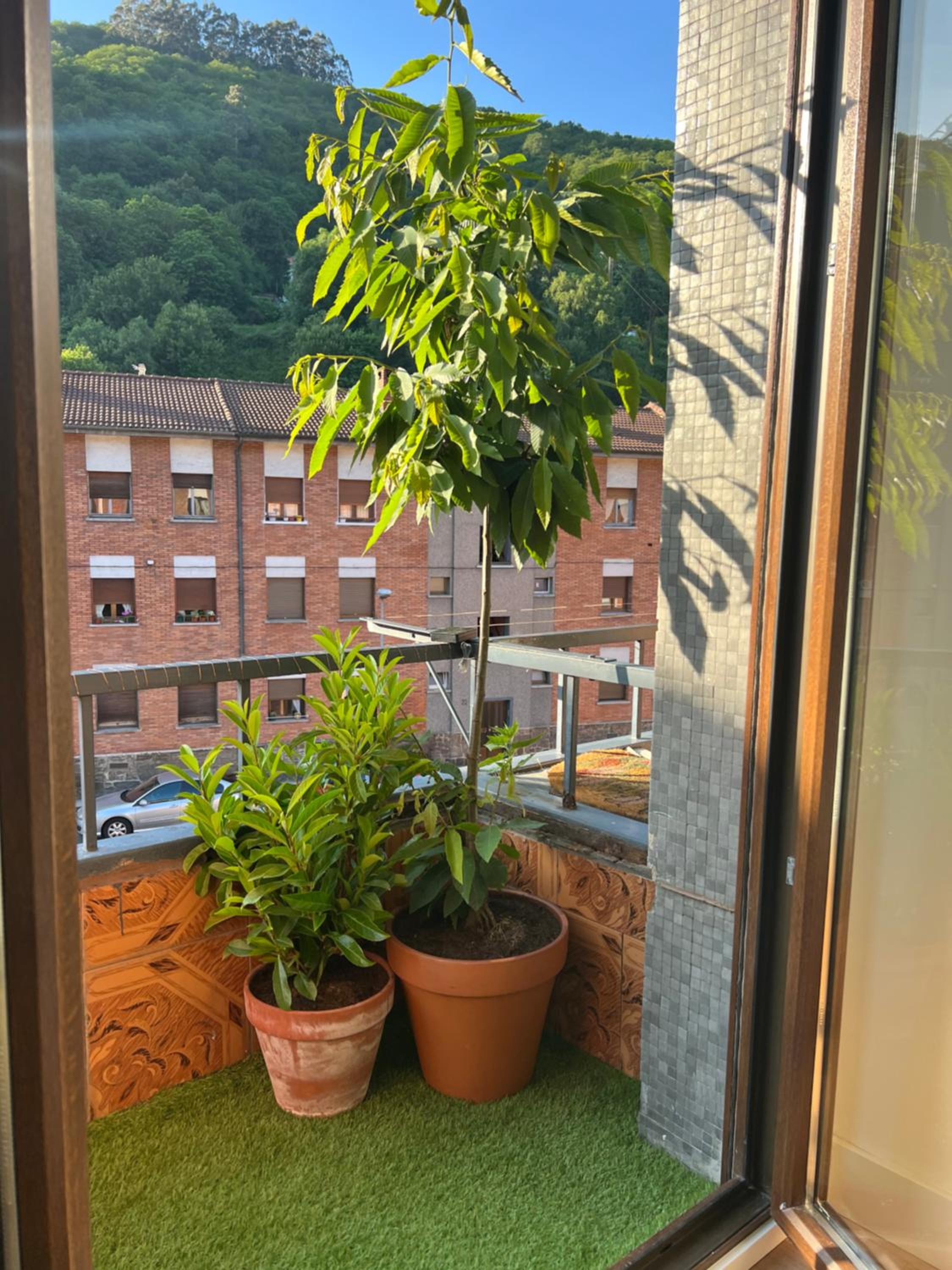 Mountain View Apartment