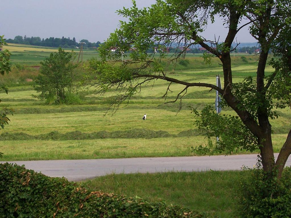 Pension Margaretenhof view 3