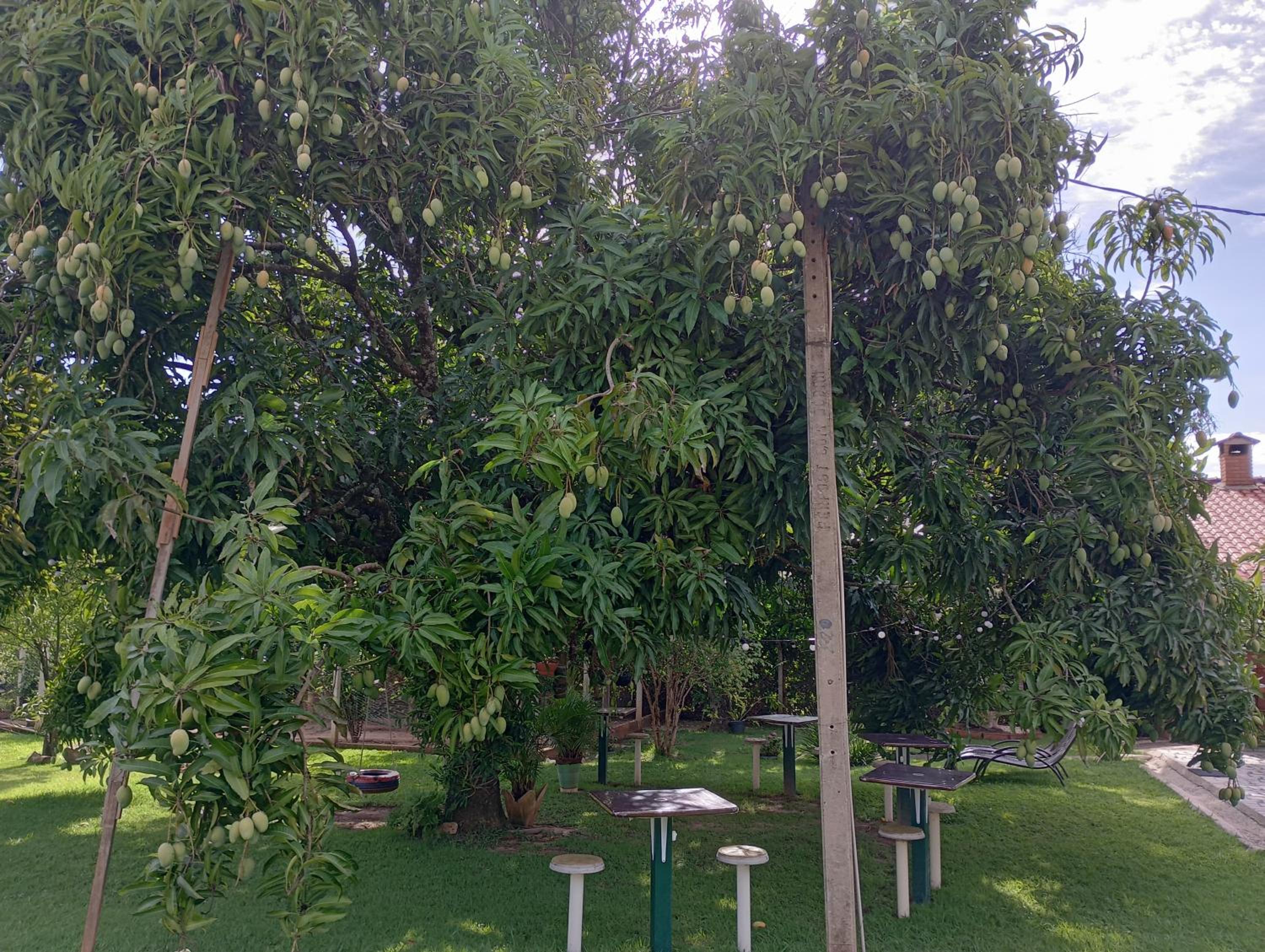 Photo 47