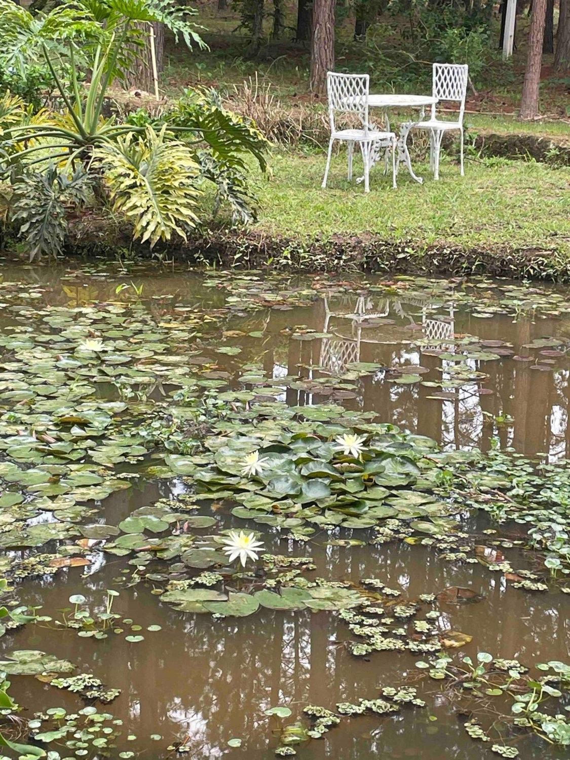 CHÁCARA MARAVILHOSA 50 MIN DE SP PETFRIENDLY CAMPO FUTEBOL PISCINA PLAYGROUND QUADRA BASQUETE COZINHA RÚSTICA FOGAO A LENHA