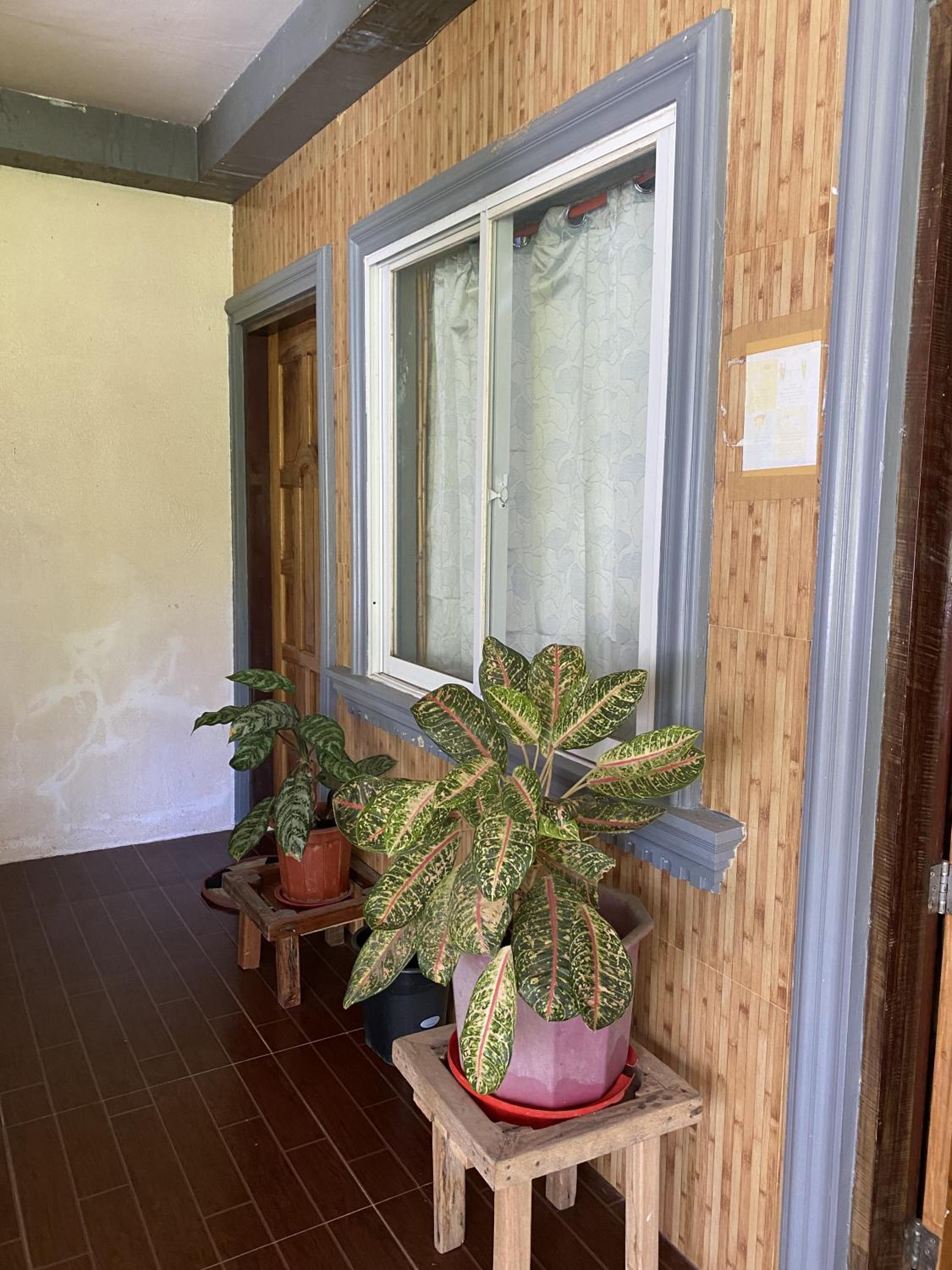 Jing's Place Homestay Siargao view 2