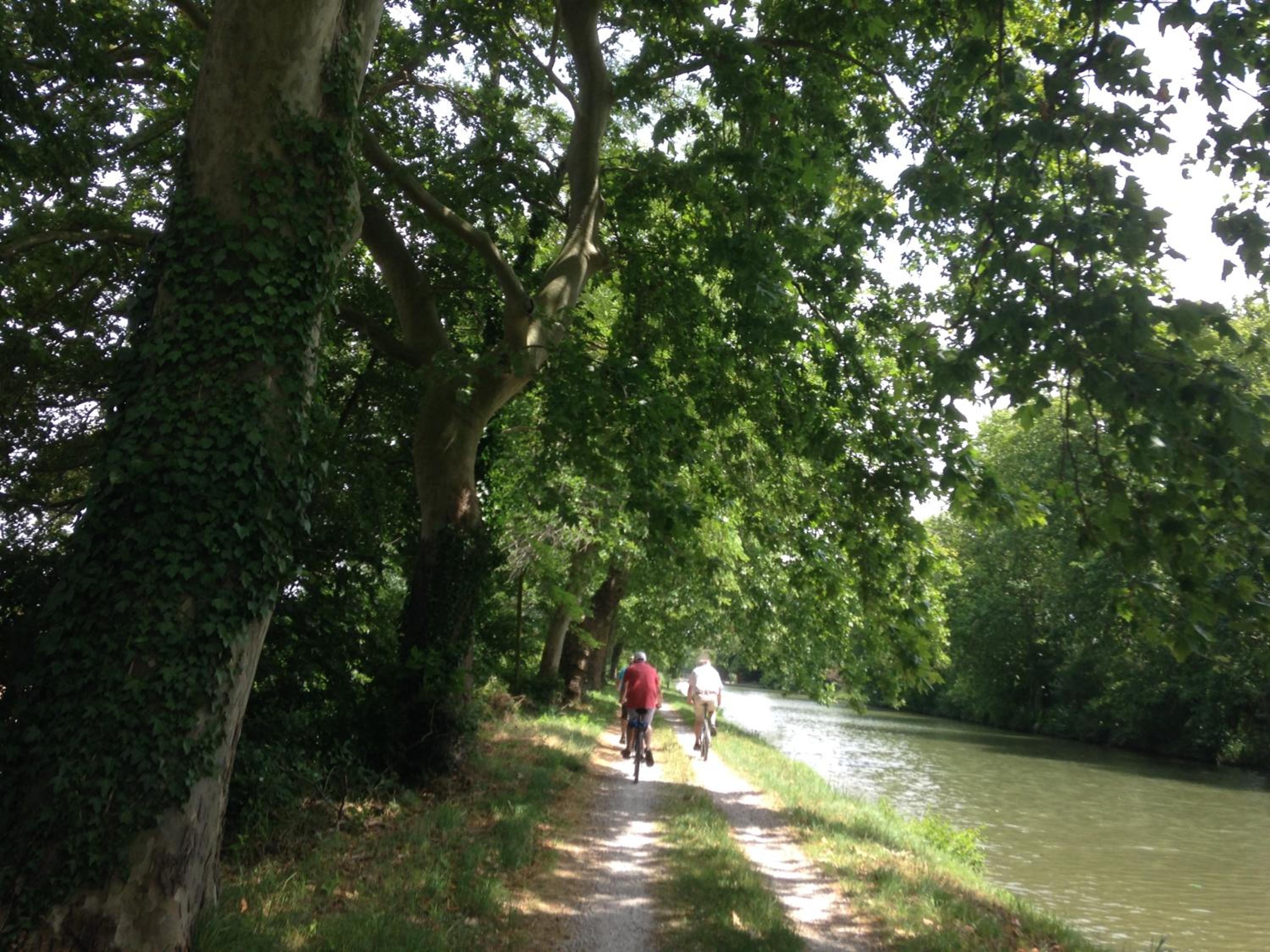 Photo 6
