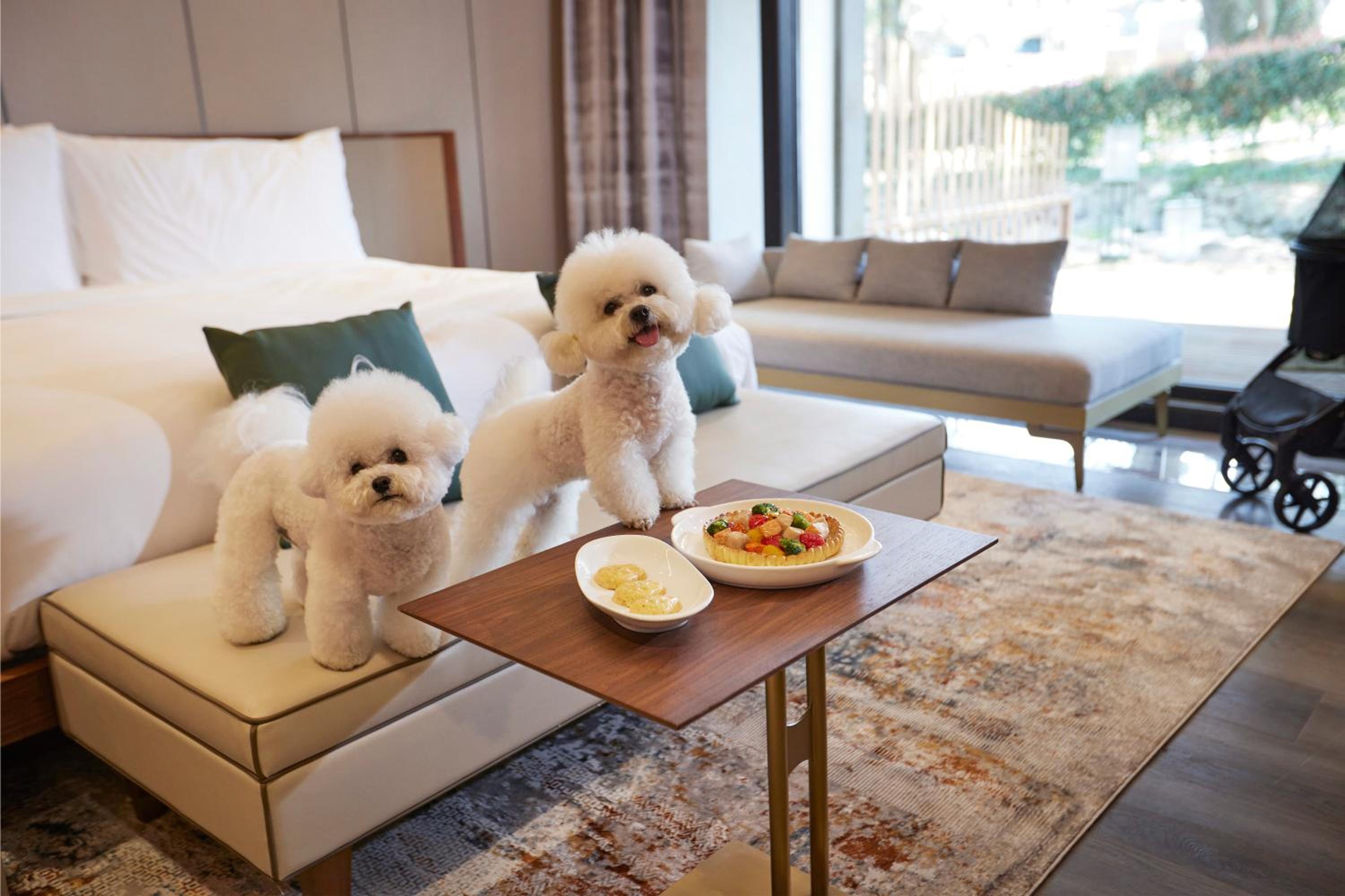 Jeju Vacations - Amber Pure Hill Hotels  Resorts Jeju - Property Image 4