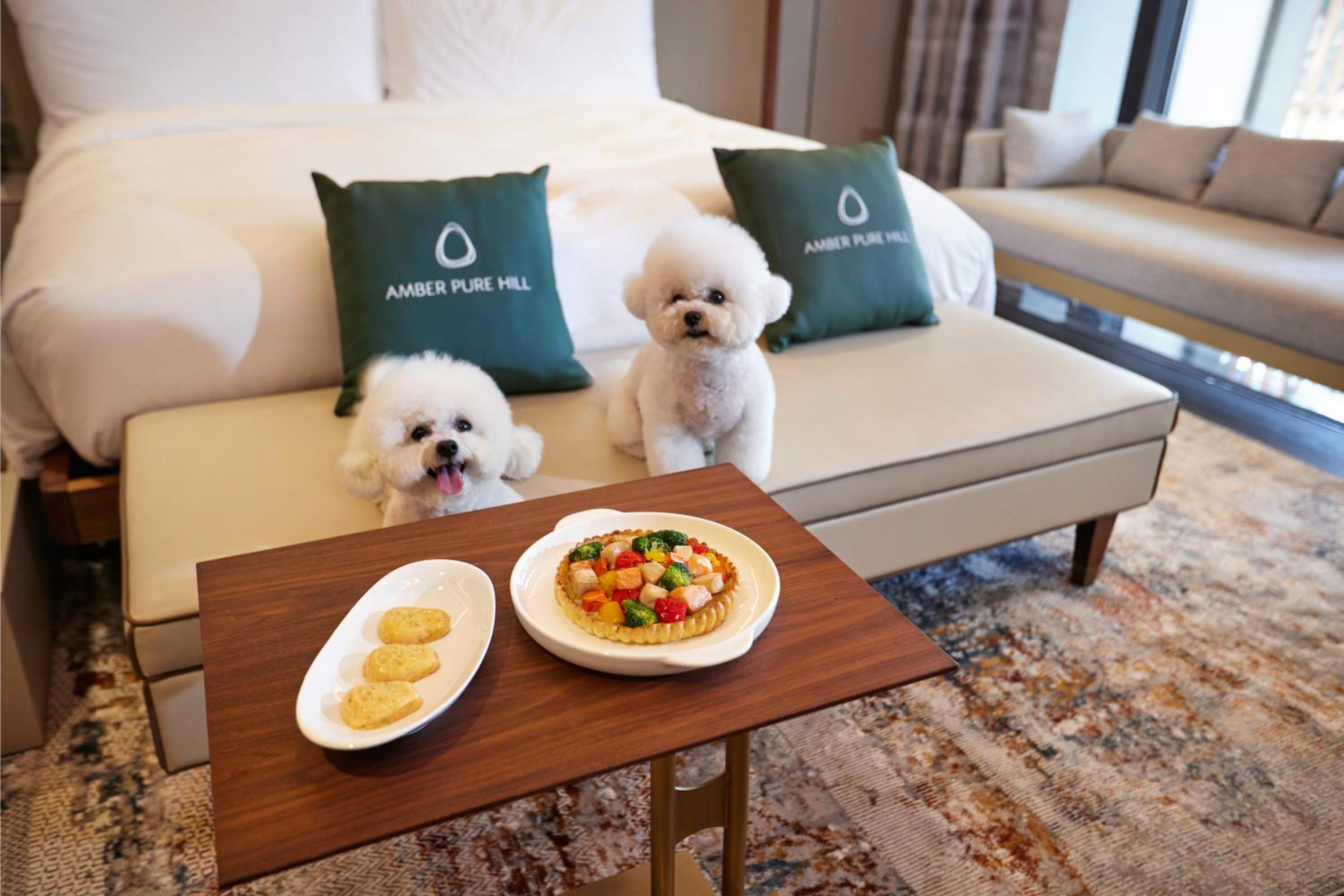 Jeju Vacations - Amber Pure Hill Hotels  Resorts Jeju - Property Image 2