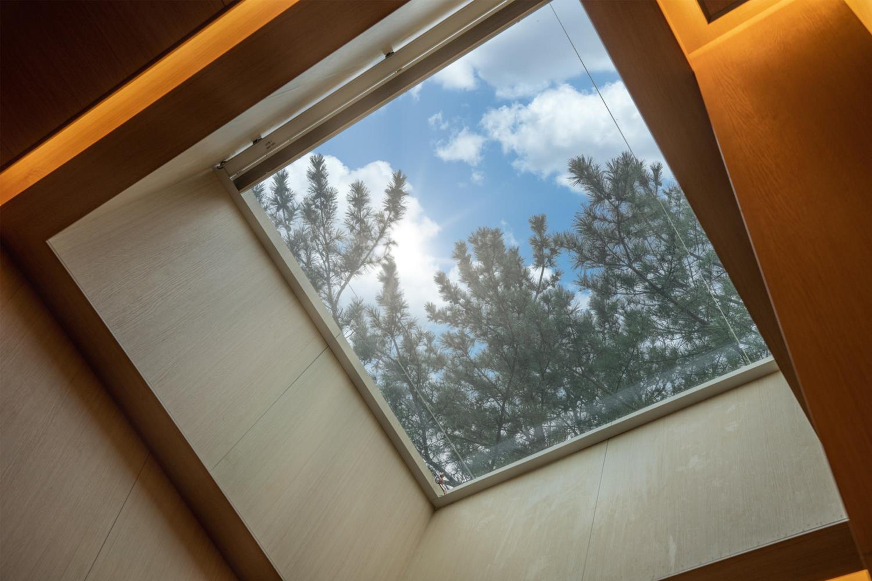 Jeju Vacations - Amber Pure Hill Hotels  Resorts Jeju - Property Image 8
