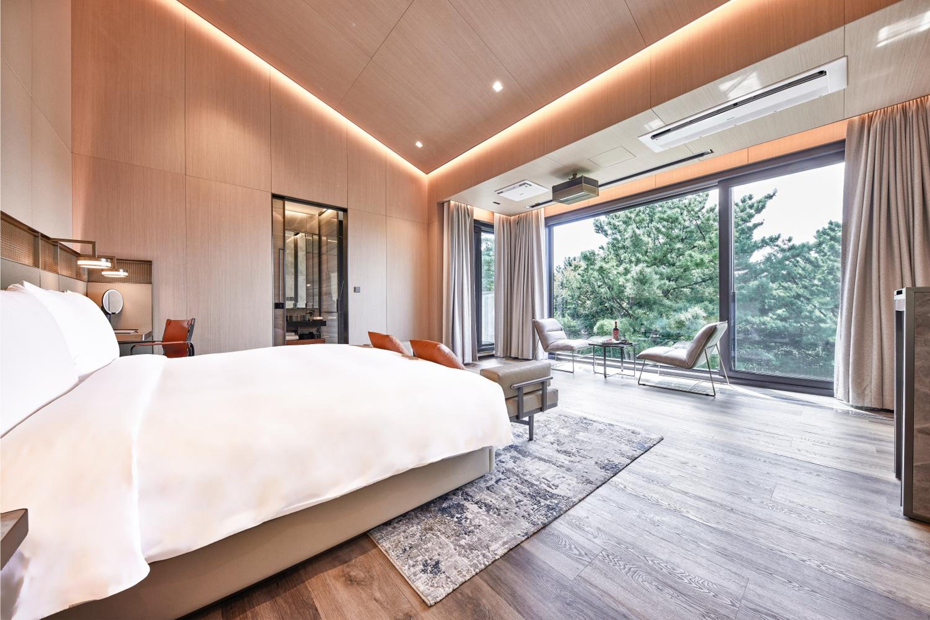 Jeju Vacations - Amber Pure Hill Hotels  Resorts Jeju - Property Image 9