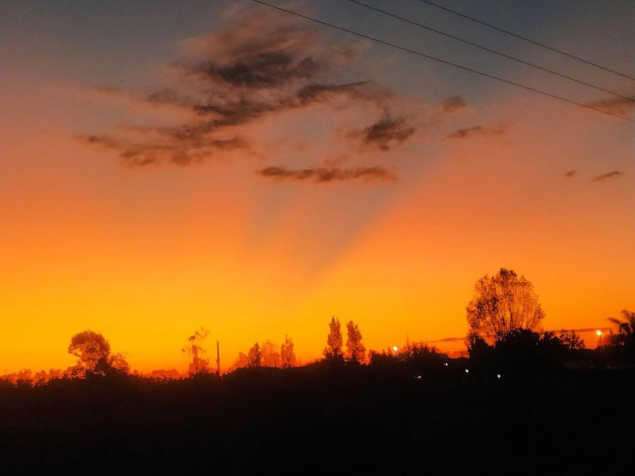 El Mangrullo