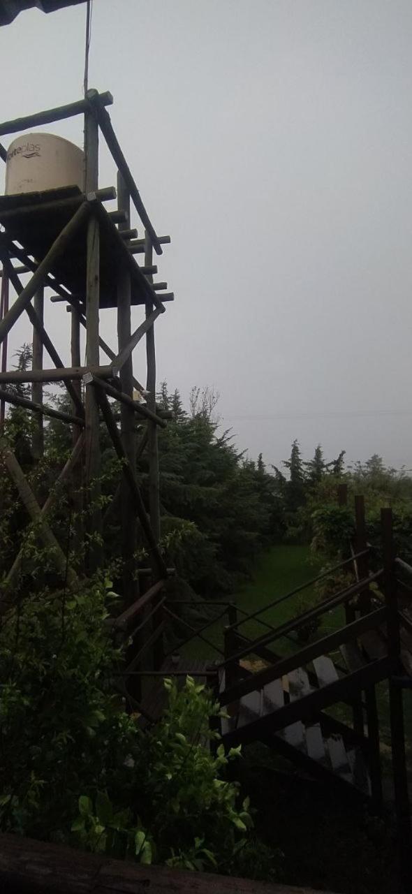 El Mangrullo