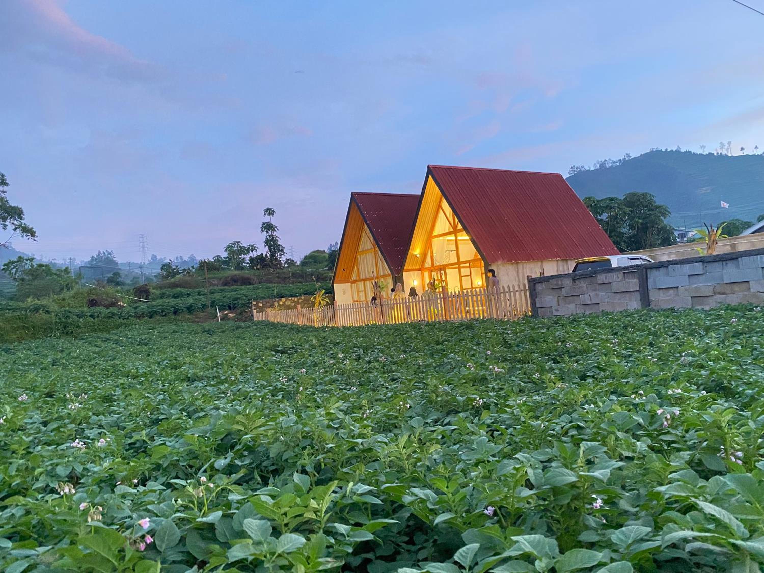 Martos villa dieng view 3