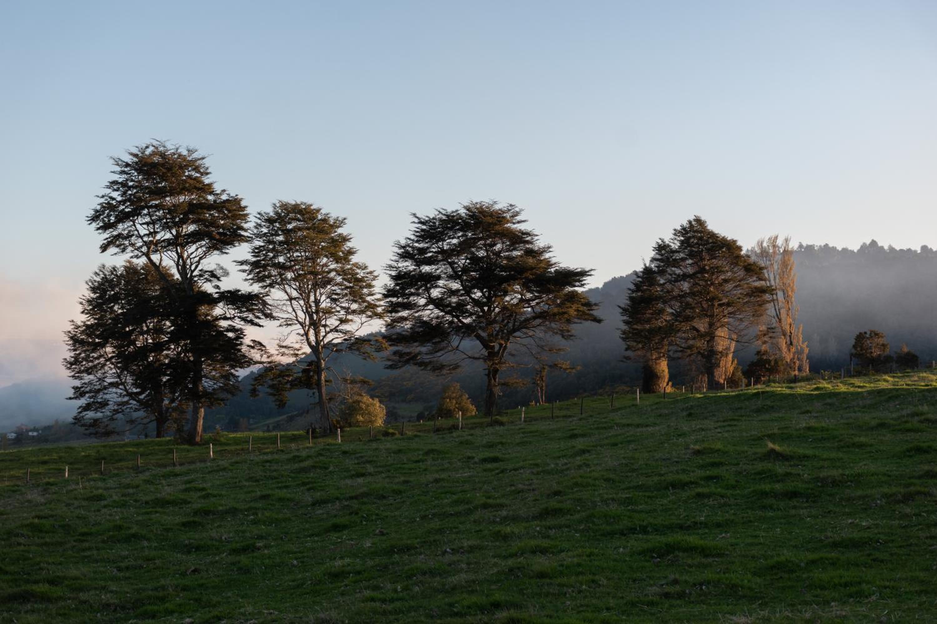 CABAÑAS DULCE VISTA