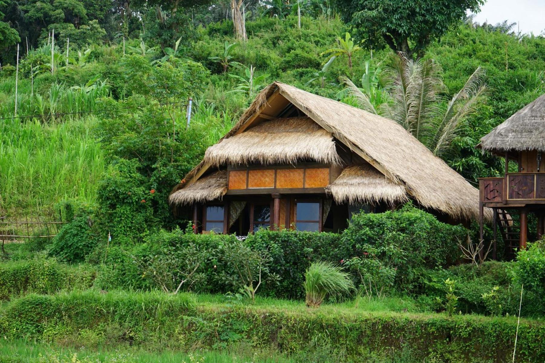 Rinjani Mountain Garden view 2