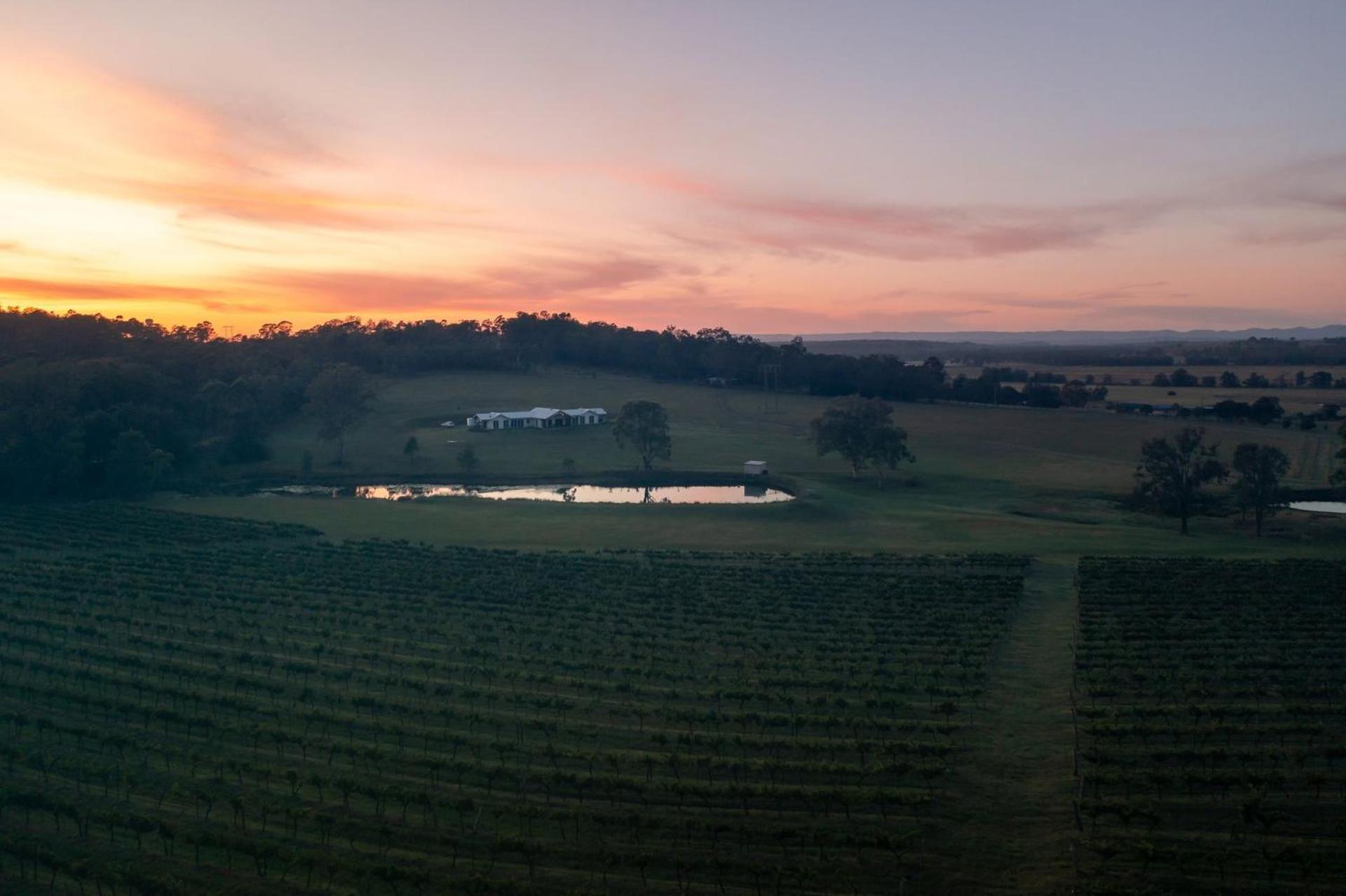 Molly Morgan Vineyard Lovedale Breakaway Villas
