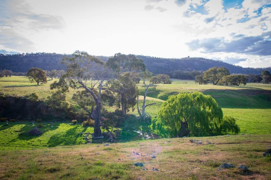 Beckworth Retreat - Ahh, the serenity!