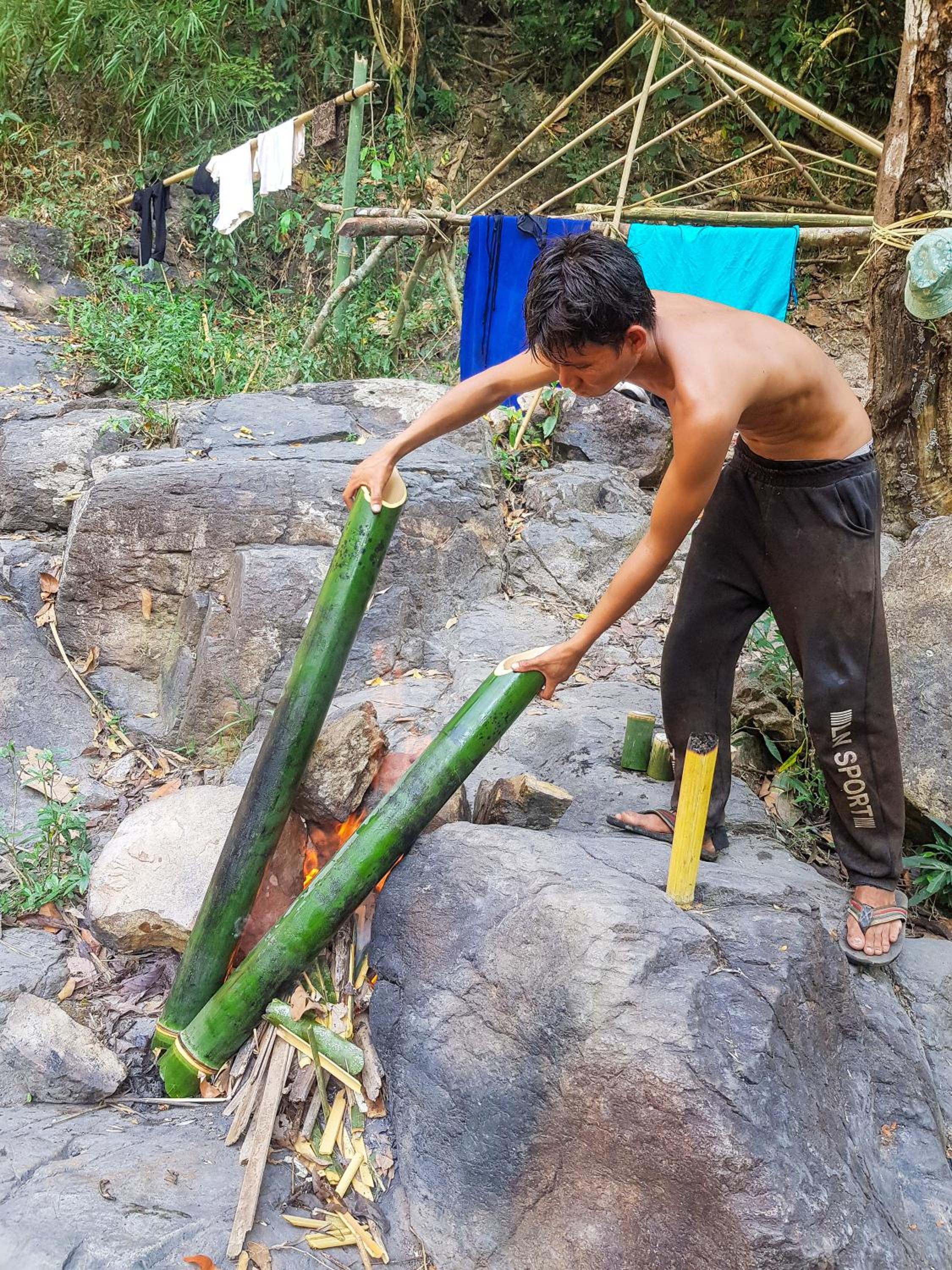 Backpacker Hostel and Jungle Trekking