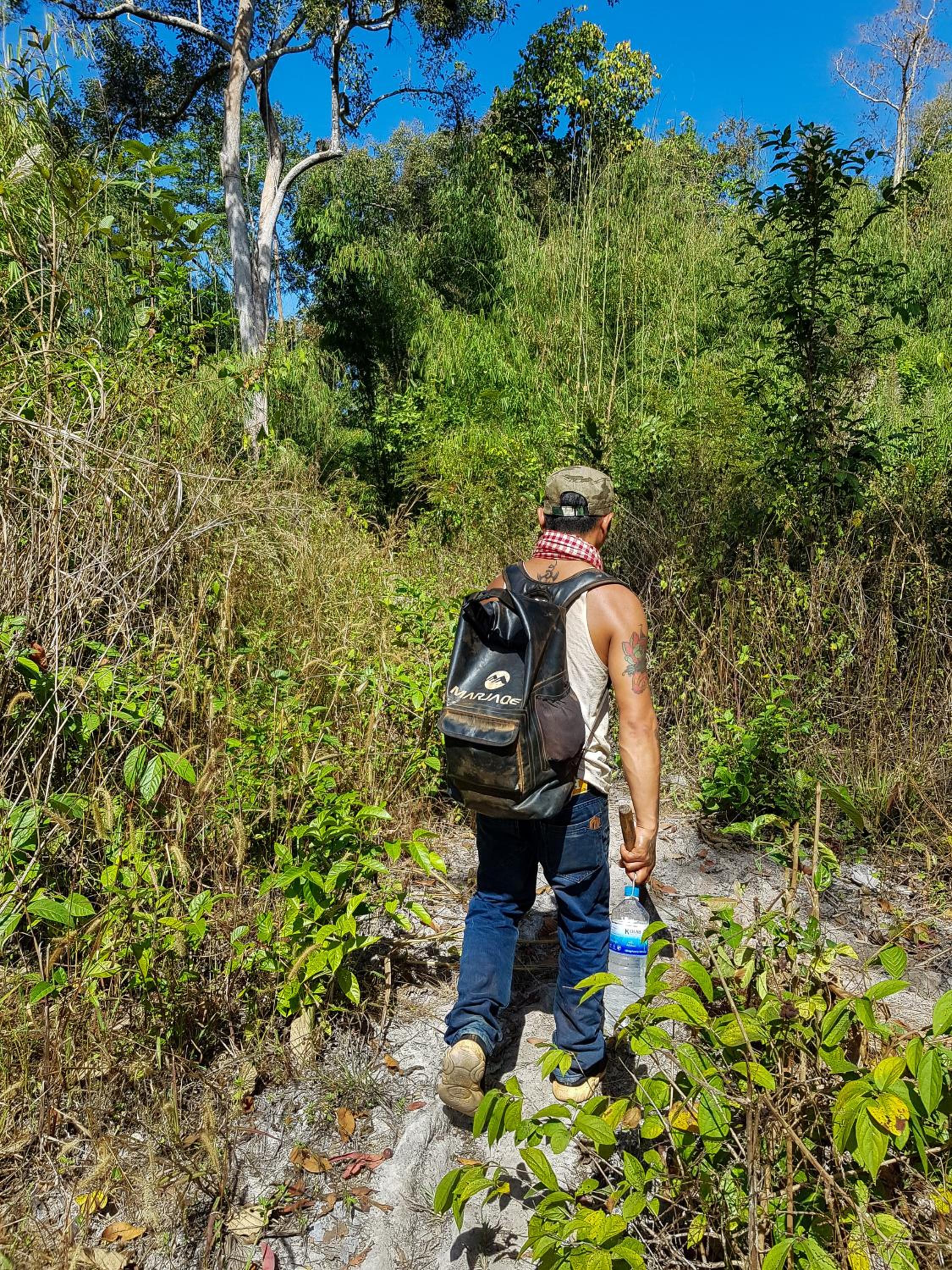 Backpacker Hostel and Jungle Trekking