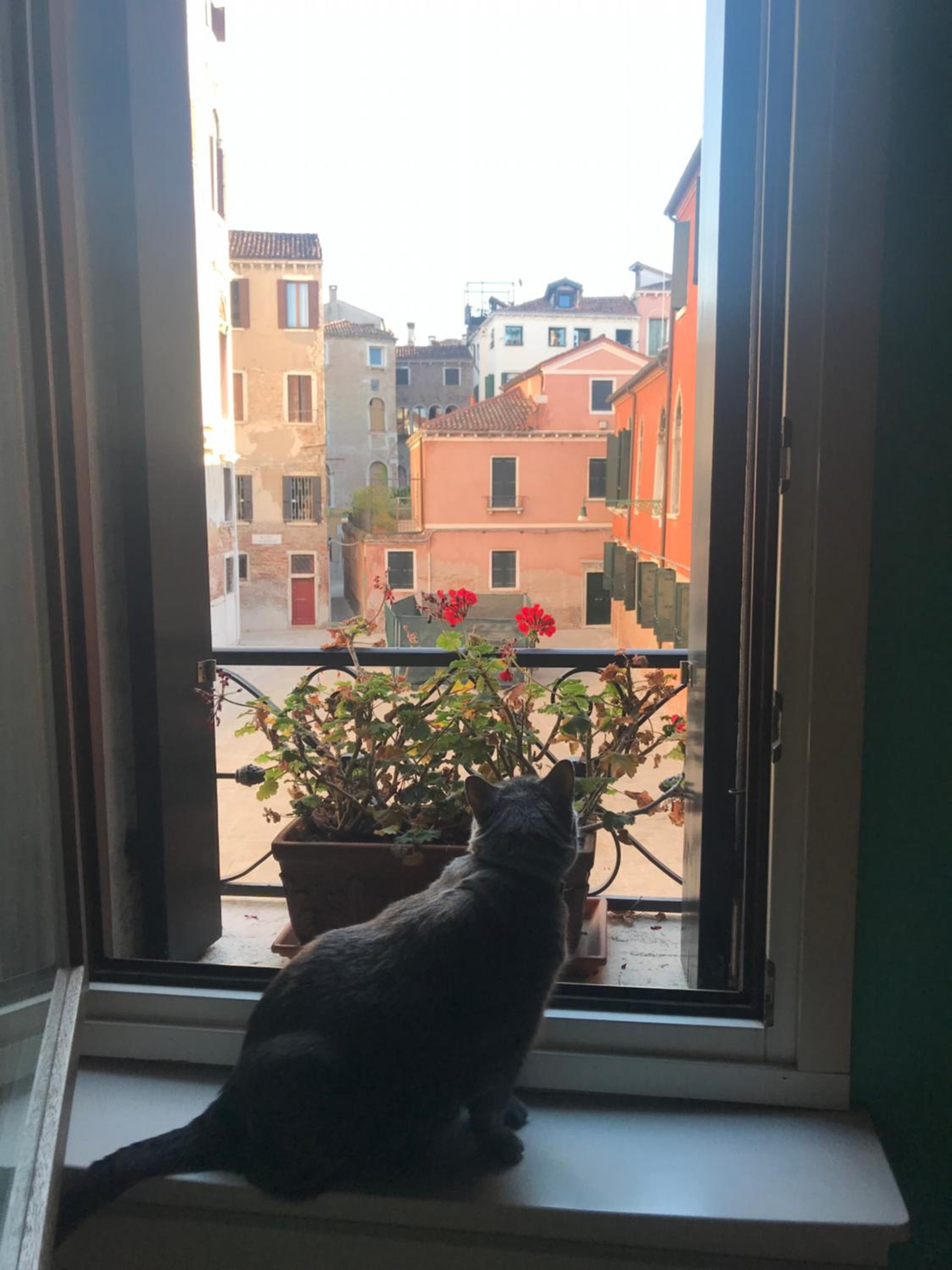 Albrizzi Charme apartment