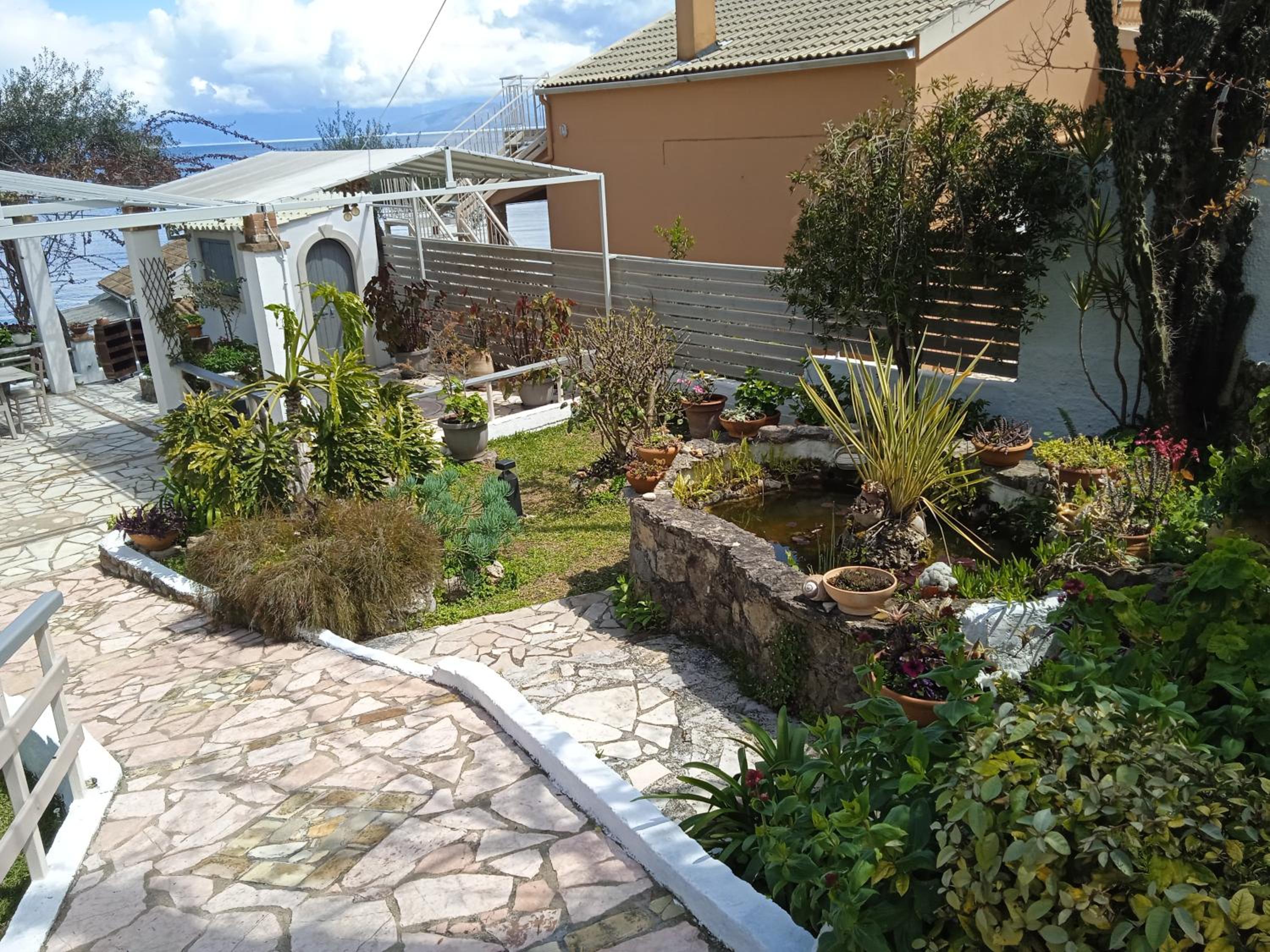 Photo 43