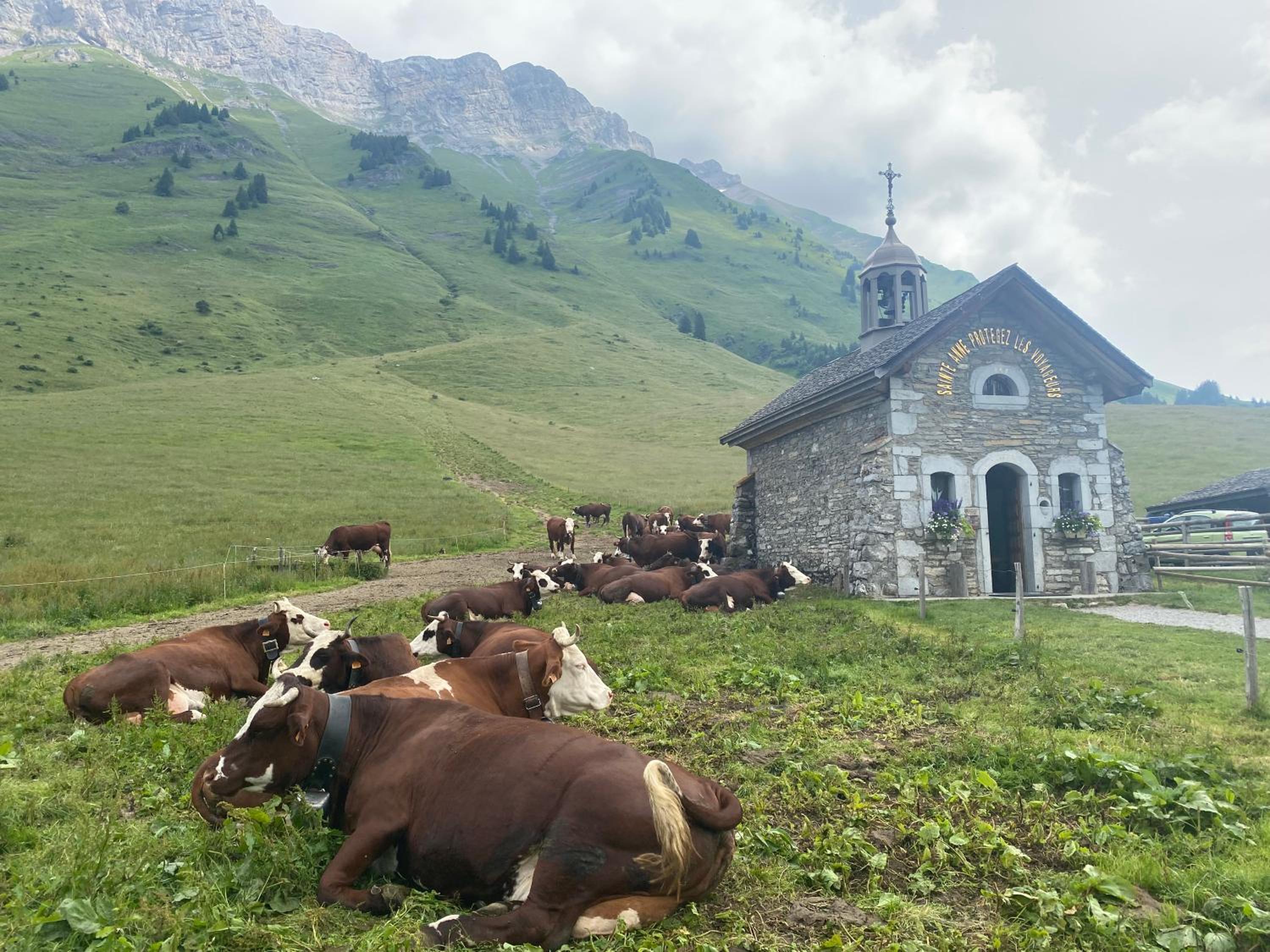 Chez Laurette et Louis, photo 20