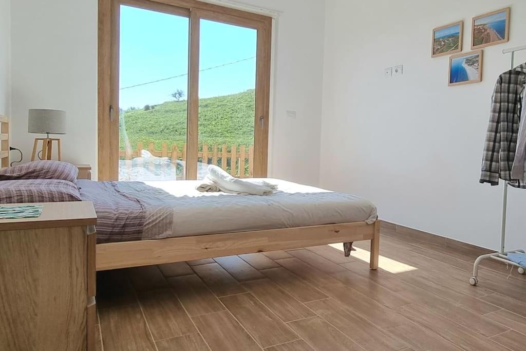 Villa Ulivo a 900 metri dal Mare view 4