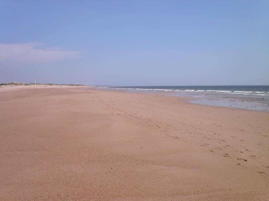 Vacaciones de lujo GOLF-PLAYA. Costa Ballena-Cádiz view 3