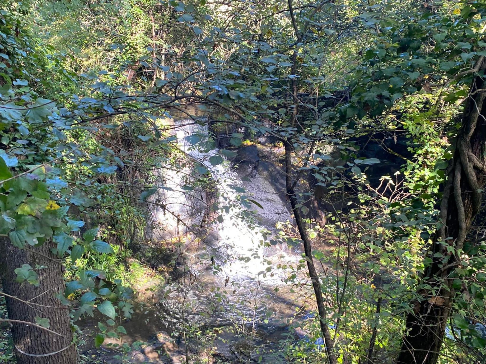 Photo 46