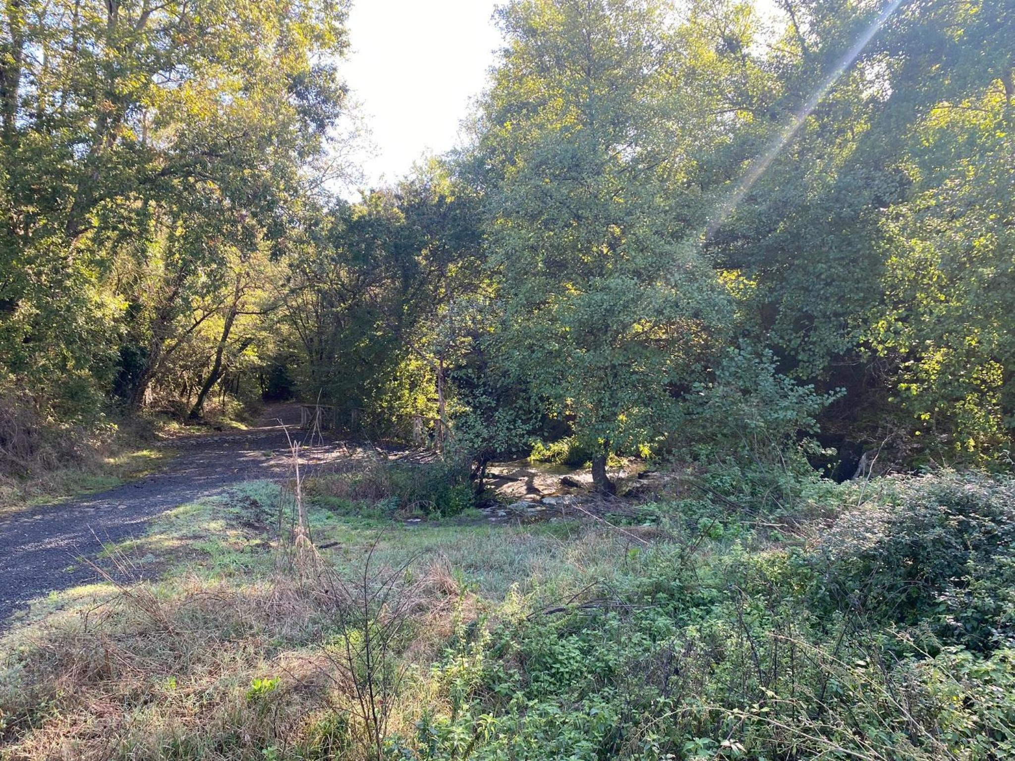 Photo 47