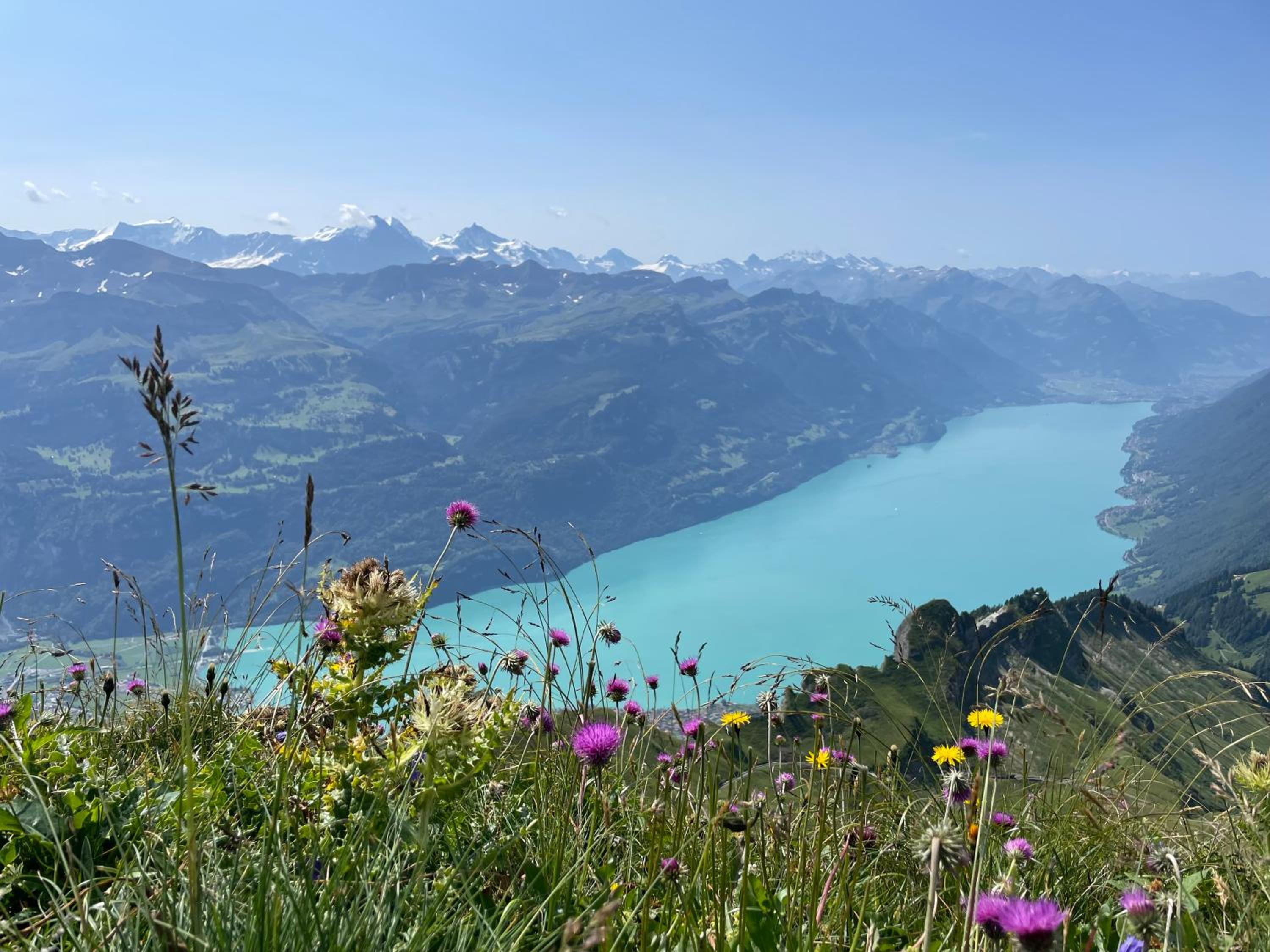 Romantic Lake & Mountain apartment Pure Swissness