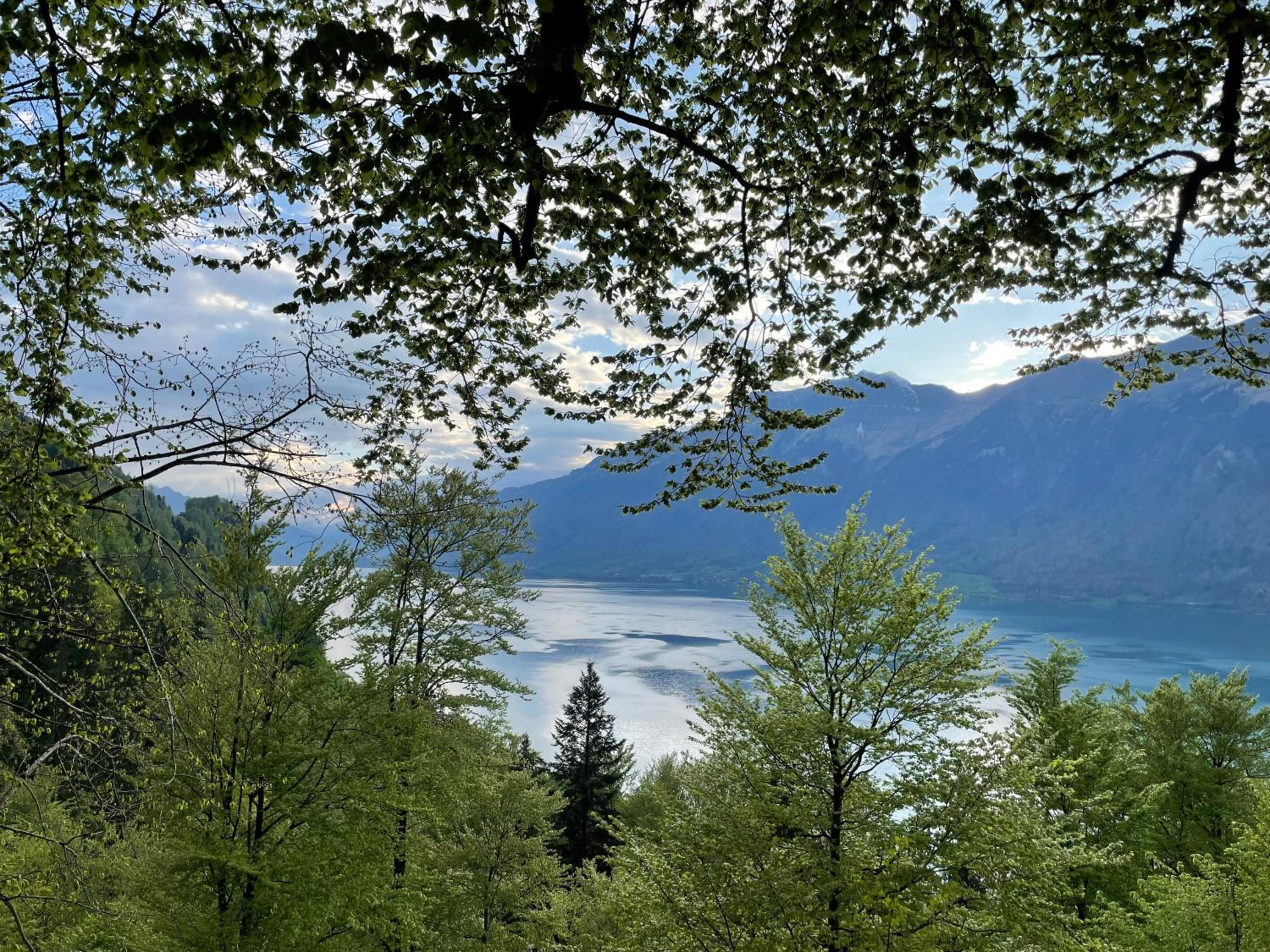 Romantic Lake & Mountain apartment Pure Swissness