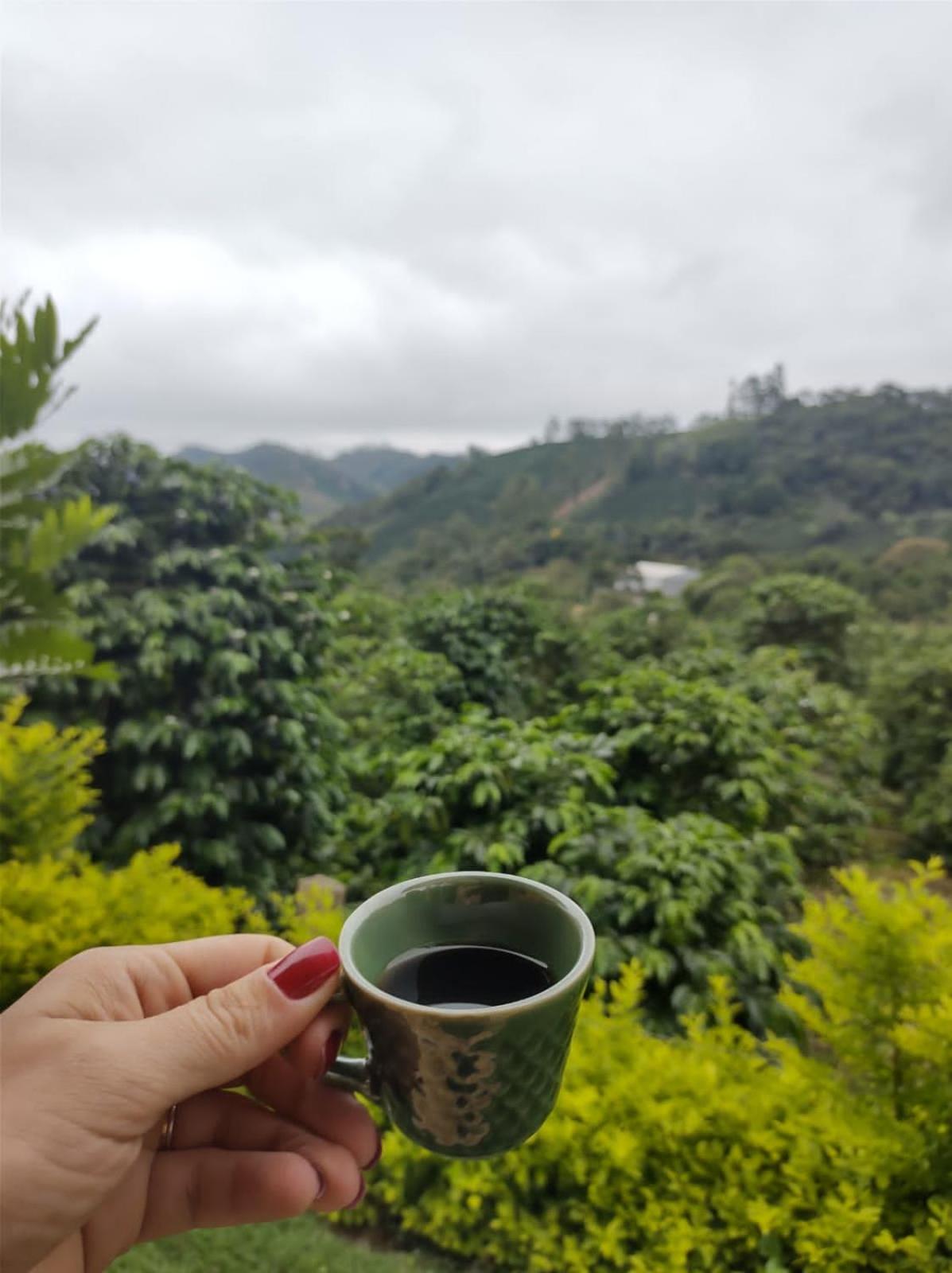 Chalé Pingo de Ouro
