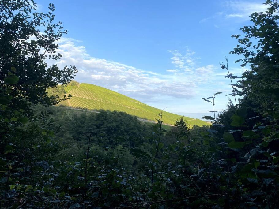 Schönes Forsthaus mitten in der Natur