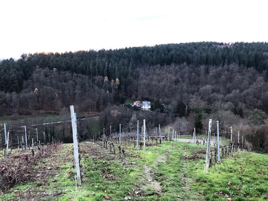 Schönes Forsthaus mitten in der Natur