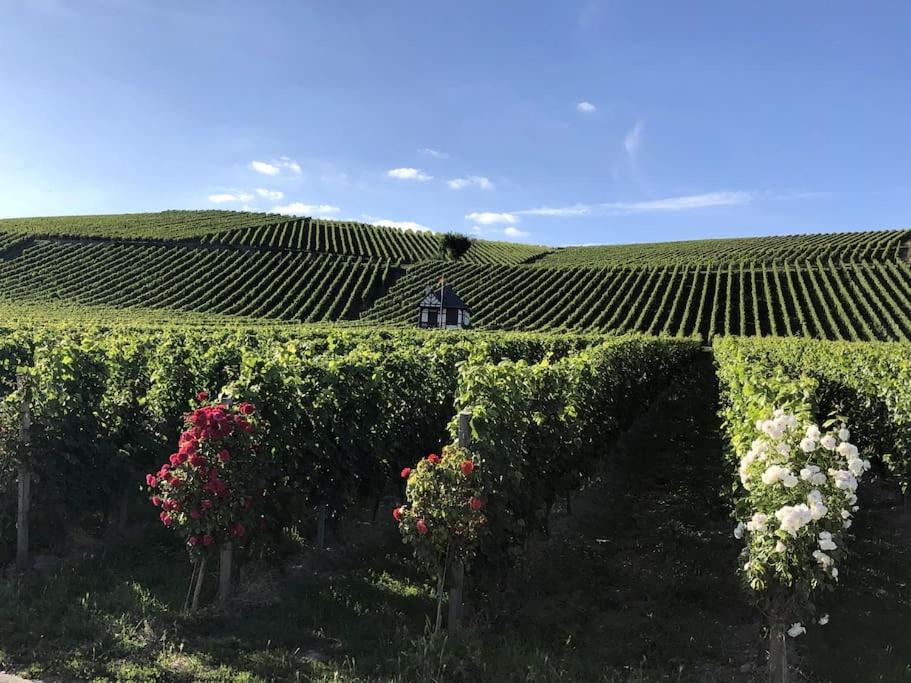 Schönes Forsthaus mitten in der Natur