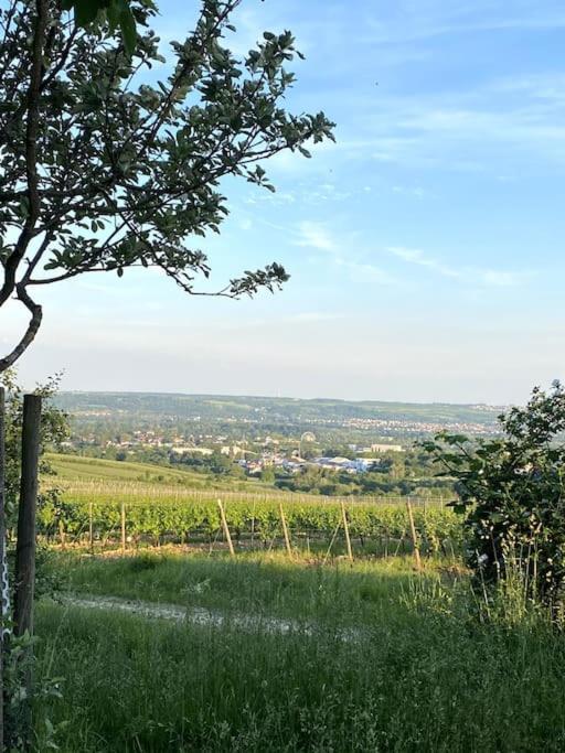 Schönes Forsthaus mitten in der Natur
