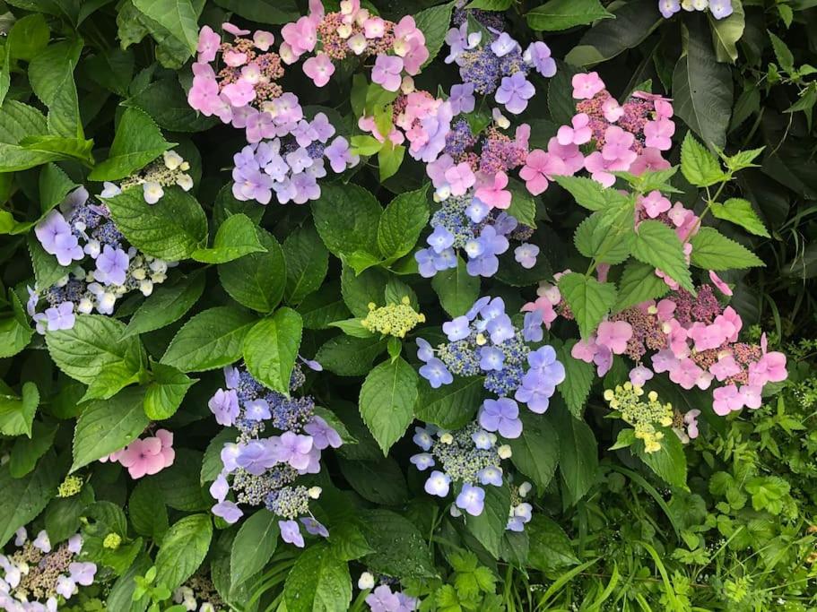 Schönes Forsthaus mitten in der Natur