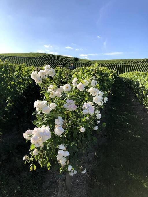Schönes Forsthaus mitten in der Natur
