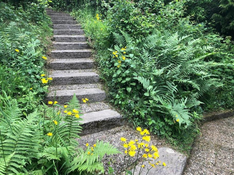 Schönes Forsthaus mitten in der Natur