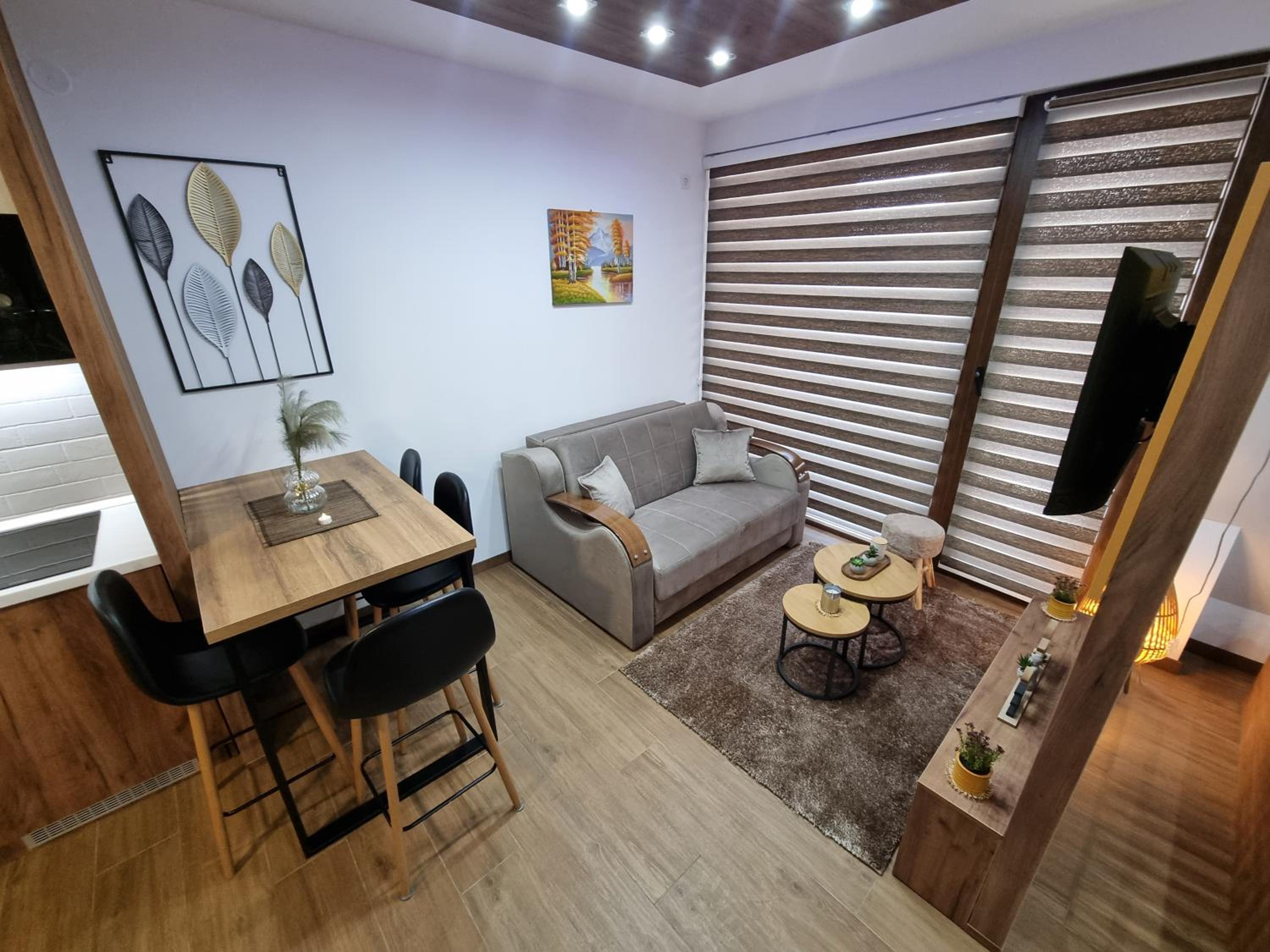 Luxury Apartment Borovi 2