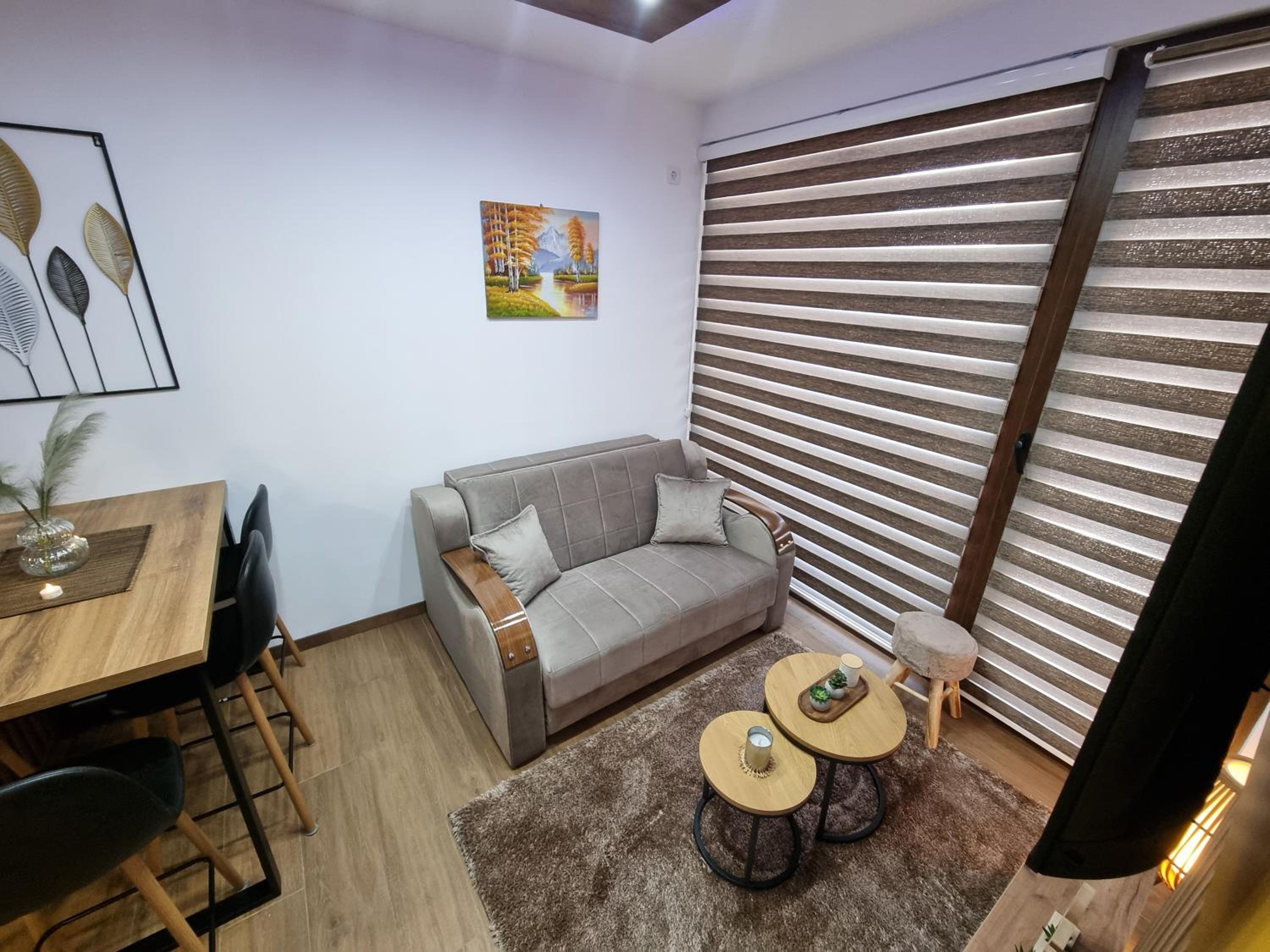 Luxury Apartment Borovi 2