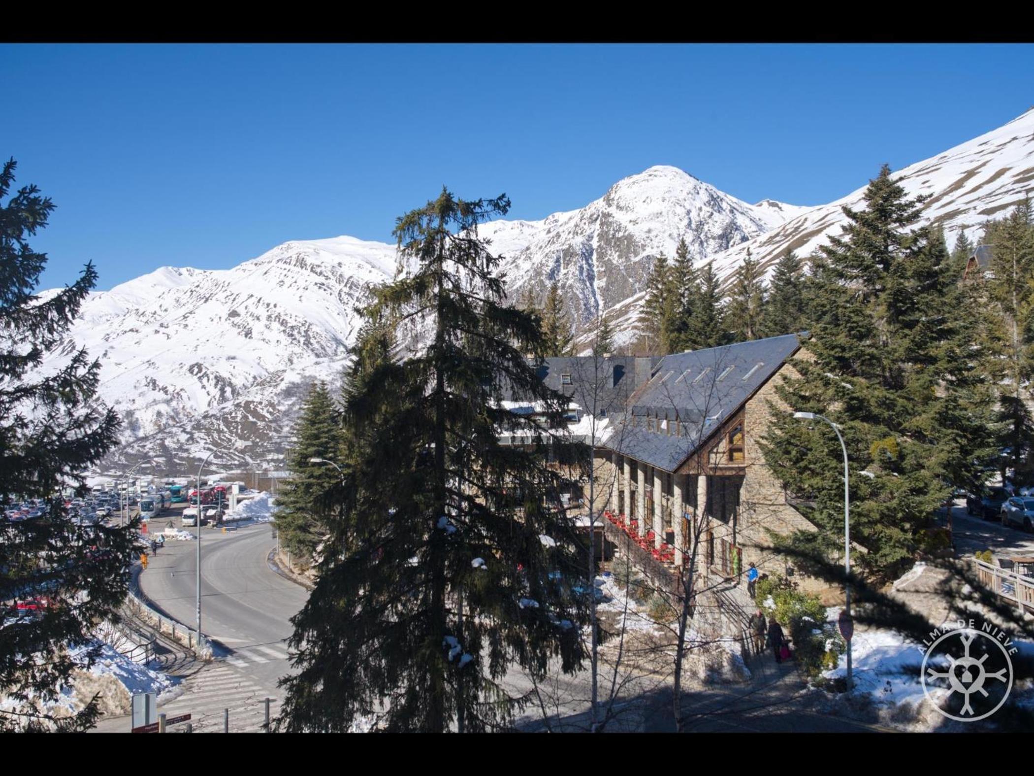 LIEBRE de Alma de Nieve view 4