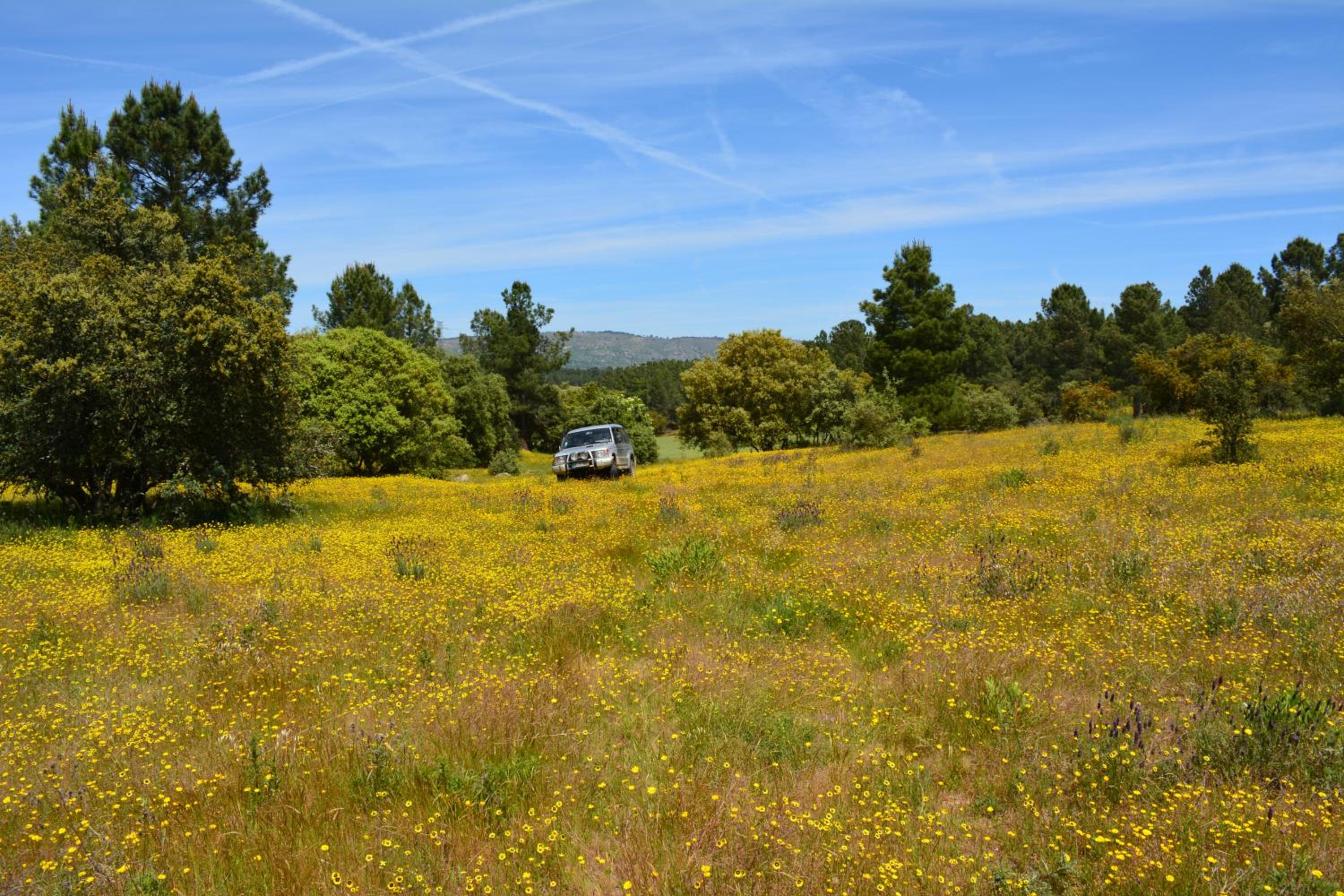 Turismo rural 4QUINTAS view 4